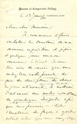Lot 1115 - AGASSIZ ALEXANDER: (1835-1910)